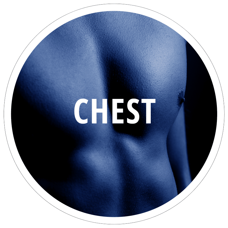 Chest-FocusAreas_Round_Working